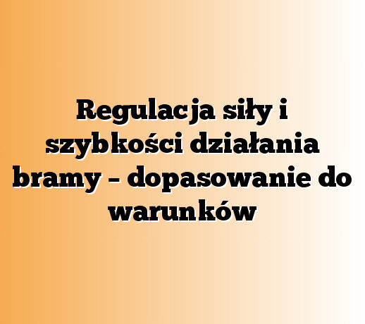 Regulacja siły i szybkości działania bramy – dopasowanie do warunków